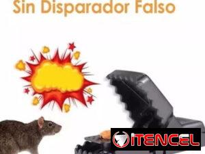 41a77e6b1a4f9e4276d773666526b1eb56bdc841a0fbc0c275b147a90569262f-1