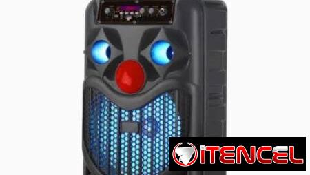 BOCINA 8” CON MICRÓFONO Y MANDO NDR-P66