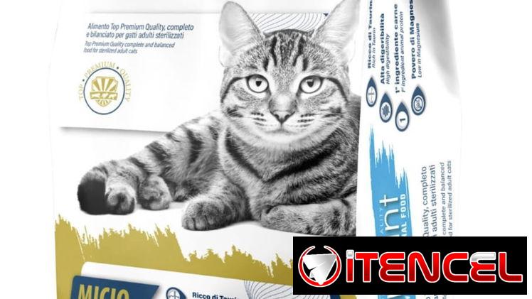 Sacos de 15kg para gatos. Pienso importado de calidad!