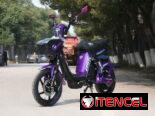 Bicimotos GRILLOS JMD