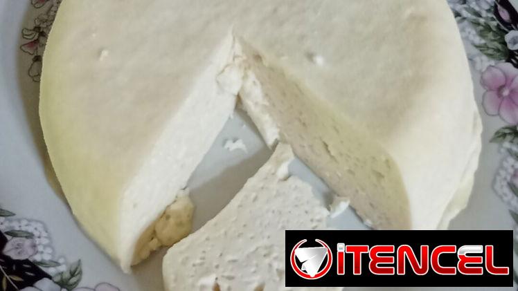 Queso blanco casero