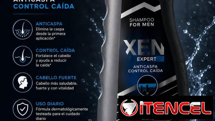 Shampoo Anticaspa Xen Expert