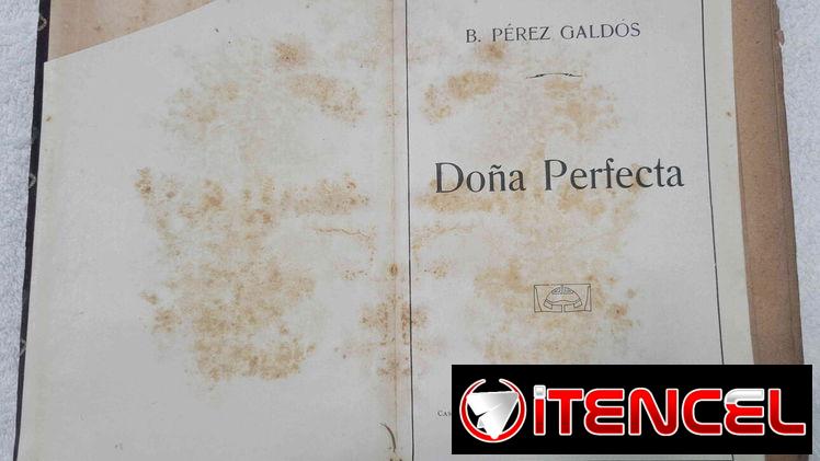 Libro “Doña Perfecta” de Benito Pérez Galdós, V.H. Sanz Calleja Editores, Madrid. Bien conservado en 1000 cup