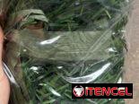 MALLA PARA EXTERIOR SETO ARTIFICIAL  40 VARILLAS 2X3M