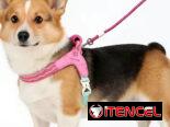 Correa con pechera ergonómica para Mascotas