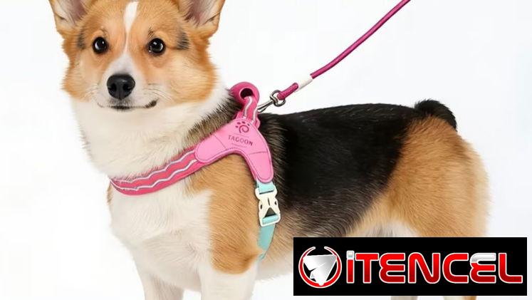 Correa con pechera ergonómica para Mascotas