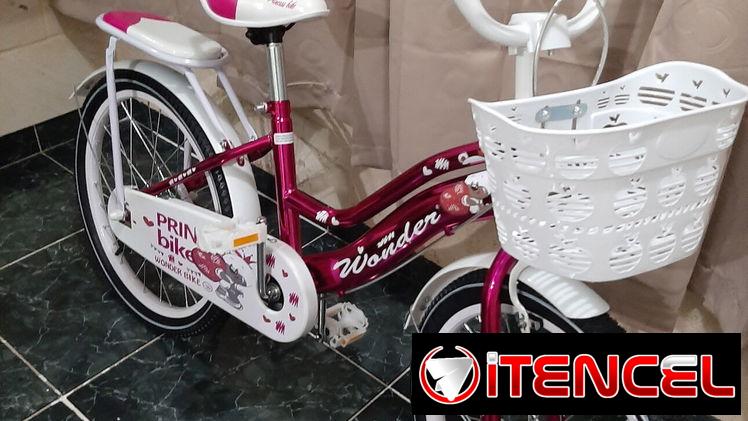 Bicicleta 🚲 medida 20 modelo Niagara