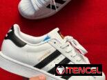 Tenis