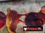 Reproducciones de pinturas de artistas cubanos