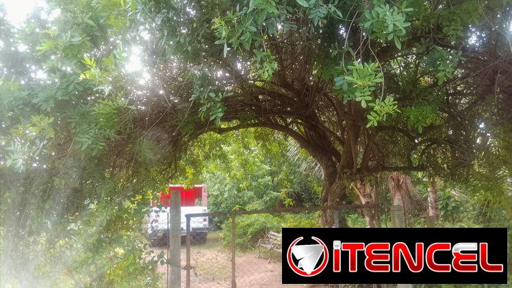 Venta de casa en el campo con bastante tierras