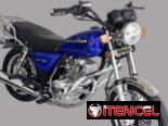 MOTO COMBUSTIÓN GN150F MOUNTAIN