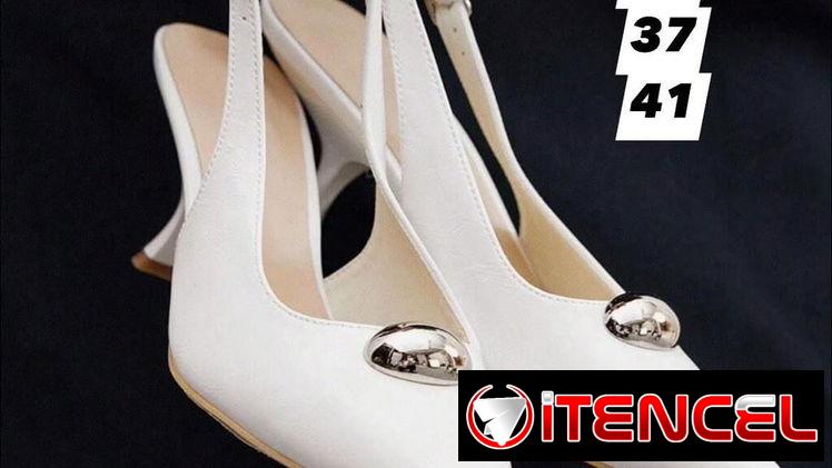 Zapa de de vestir de mujer. Puntifinos, zapatos de tacón alto