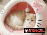 Cama para perros y gatos.