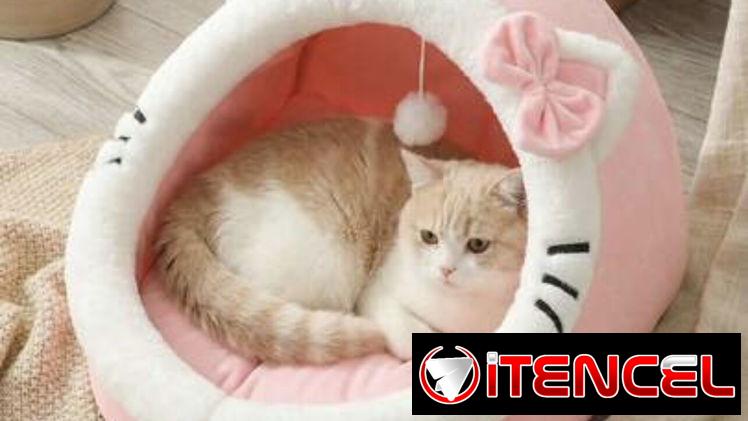Cama para perros y gatos.