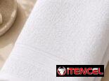 Toallas Cisne Blanco(CVV)