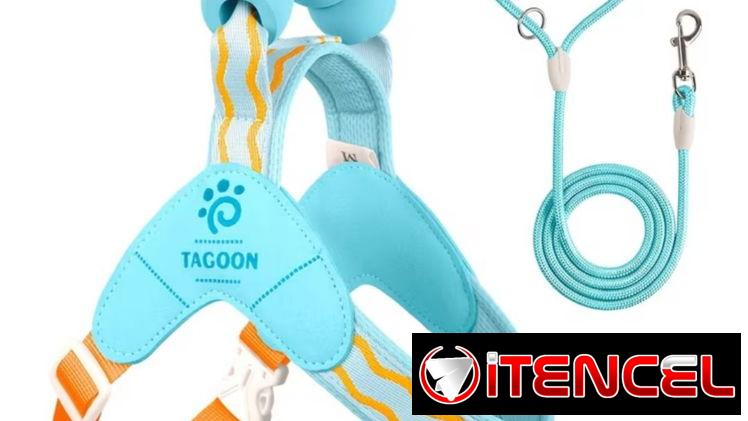 Correa con pechera ergonómica para Mascotas