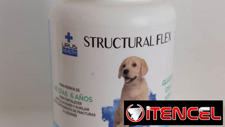 Glucosamina Para Perros y Gatos
