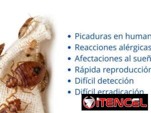 473e5b24bfdfb8aaf683bb8031570a3cf6c7f0c325ba85ecb3681661ed525ff4-1