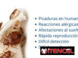 Servicio de Fumigación contra Chinches en La Habana