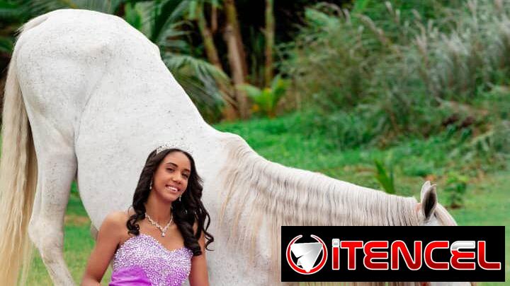 Fotos de Quinceañeras ‼️