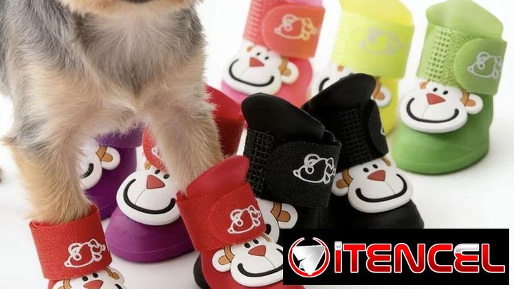 Zapatos de goma impermeable para mascotas Protéjala del calor del suelo y el agua en tiempos de lluvia! Calidad de vida!