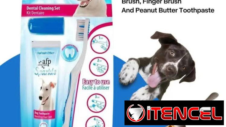Kit de Higiene Dental para Mascotas