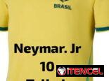 Pullover o Camisetas de Fútbol( Arg-Bra-Ale-Por-Esp-Ita-Fra-Ing-H