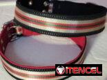 Collar de.Paseo