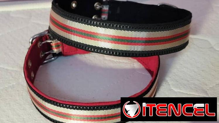 Collar de.Paseo