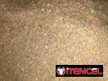 Pienso criollo para animales