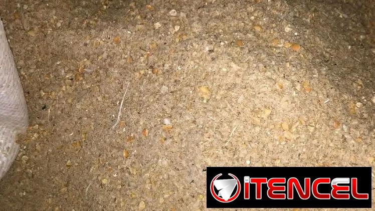 Pienso criollo para animales