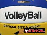 Balón de voleibol pro / No. 5