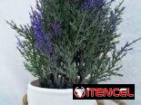 Maceta con planta artificial decorativa (CV)