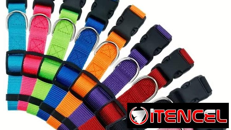 Collares para perros medianos. Cómodos, seguros y con un diseño clásico y resistente.