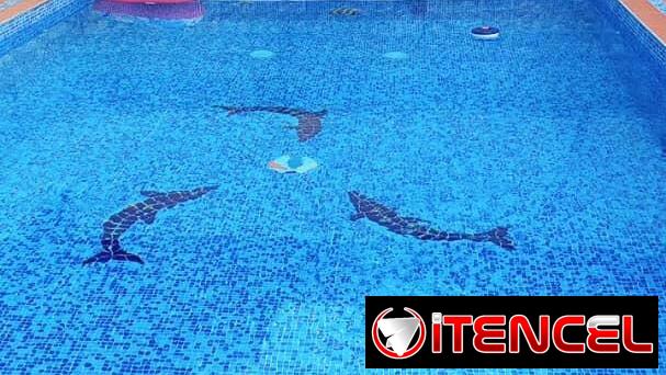 Piscina con recirculación en renta en Alamar , Habana del Este, +53 52463651 WhatsApp