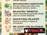 Masajista y pedicurista profesional