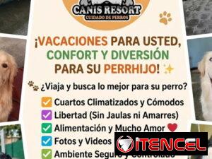 4db505ec360ce8d6d0d4714170ac34af4703a0f1a9cb49d8571e380af4f714e0