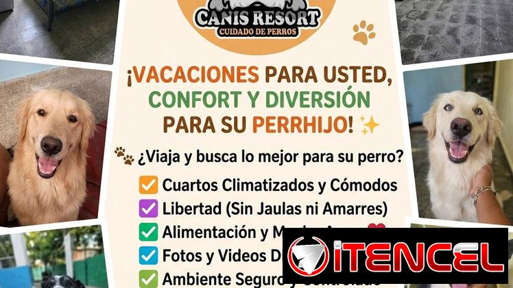 Hospedaje Premium para Perros – Canis Resort (Kinetica)