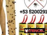 Cebos para moscas y mosquitos.