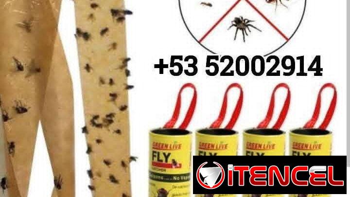 Cebos para moscas y mosquitos.