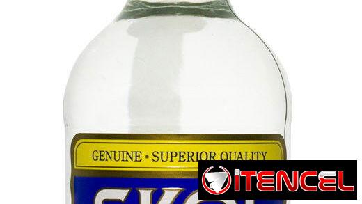 Ginebra Skol (1L)
