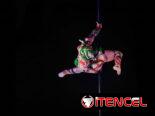 Clases💃 Pole Dance & Fitness Profesional
