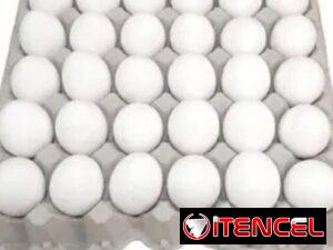 4e758a21baf48dac2f3dbefcd234700a45196b68dde6790044f3da85c8129976