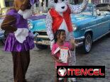 Sorpresas a Domicilio con Personajes Animados | El Mejor Regalo para tu Familia