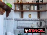 Alquiler de apartamento de 3 habitaciones y 2 baños a estudiantes extranjeros