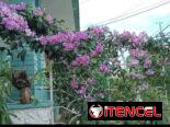 Venta de casa en Santos Suarez, 10 de octubre