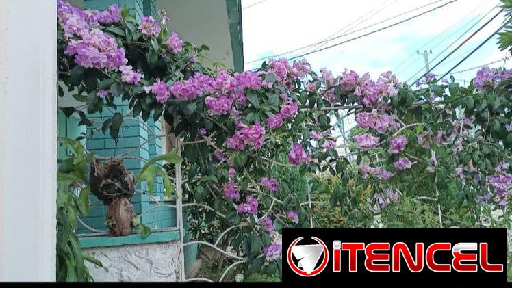Venta de casa en Santos Suarez, 10 de octubre