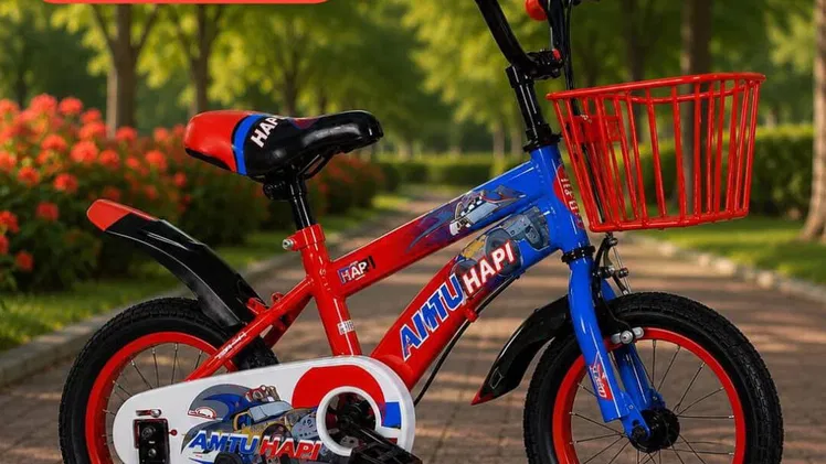 Bicicletas