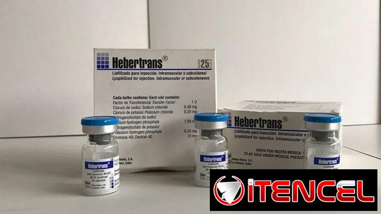Factor de transferencia ( Hebertrans )