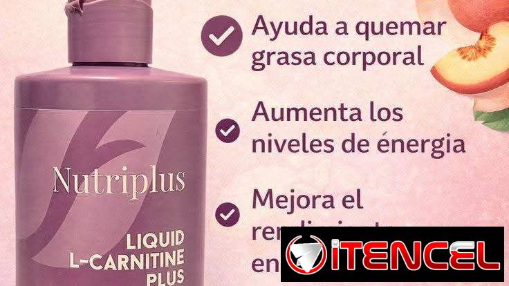COMBO 🔥CREATINA + L-CARNITINA🔥